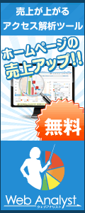 �����A�N�Z�X��̓c�[���uWeb Analyst�i�E�F�u�A�i���X�g�j�v